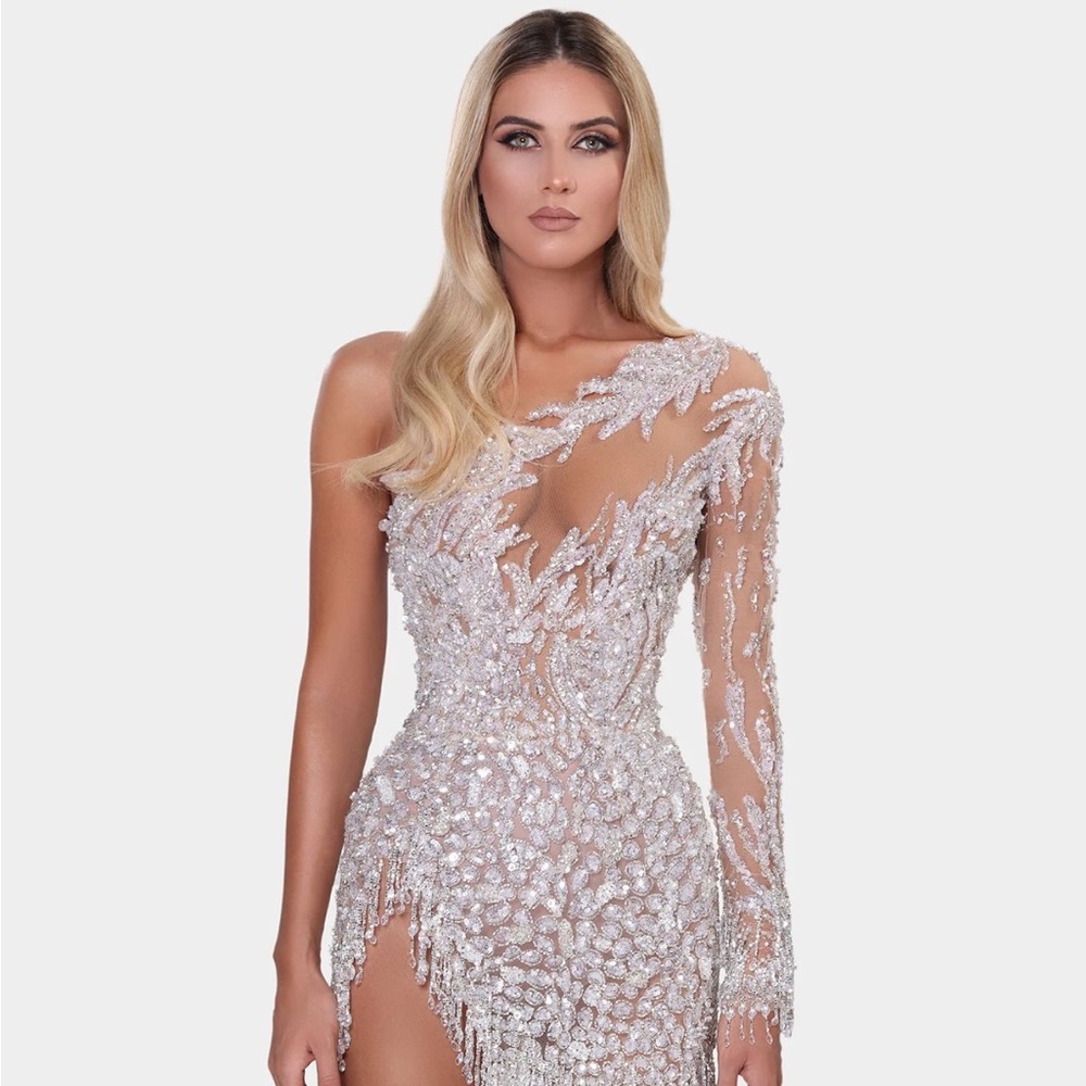 Albina Dylan One Shoulder Silver Sequin Dress  evening xs 2 Mint sold out bead